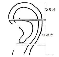 耳垂大小 面相